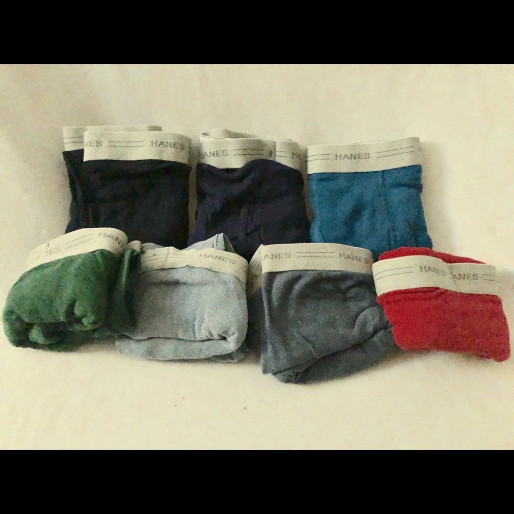 Hane’s Briefs